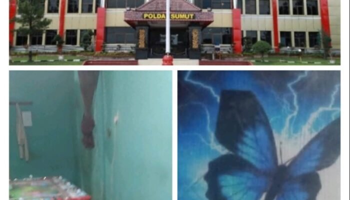 Judi Tembak Ikan Pipit dan Logo Kupu-kupu di Belawan Tantang Polda Sumut