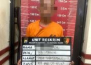 Lagi, Polsek Medan Baru Ciduk Seorang Pelaku Rayap Besi