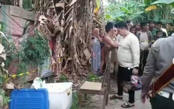 Pihak kepolisian Polsek Medan Area dan Unit Pidum Sat Reskrim Polrestabes Medan melakukan penyelidikan dan penyidikan terhadap penemuan jasad wanita tanpa busana di Jalan Menteng VII Gang Seroja, Kecamatan Medan Denai. (