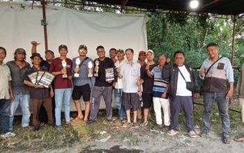 Monang Champ 3 Ikan Cupang Medan Sukses Digelar, RJN 2 Raih Juara 1