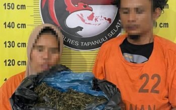 3 Kg Ganja Disita di Tapsel, Dua Pelaku Ditangkap Saat Antar Pakai Betor