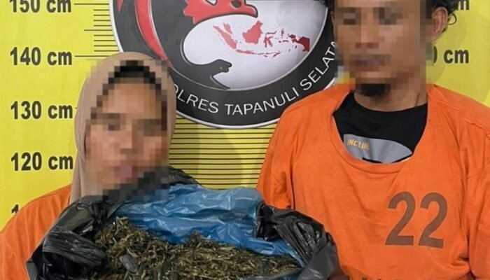 3 Kg Ganja Disita di Tapsel, Dua Pelaku Ditangkap Saat Antar Pakai Betor