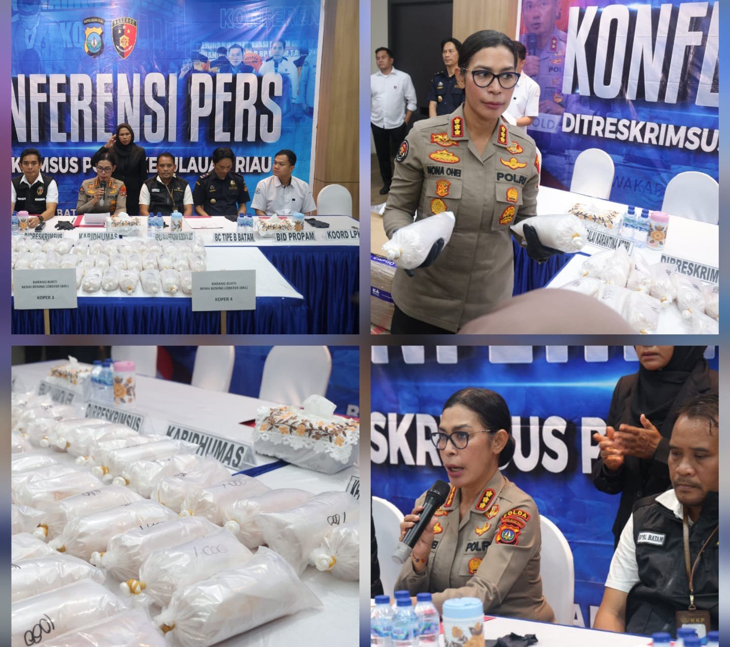 Kabidhumas Polda Kepri Kombes Pol. Dr. Nona Pricillia Ohei, S.I.K., S.H., M.H., serta didampingi oleh Dirreskrimsus Polda Kepri Kombes Pol. Silvester Mangombo Marusaha Simamora, S.I.K., M.H., Kasubdit I Indagsi Ditreskrimsus Polda Kepri, AKBP Paksi Eka Saputra, S.IP., S.I.K., M.M., Kepala Balai Karantina Kepri, Kepala Balai Perikanan Budidaya Laut, perwakilan dari Bea Cukai Batam, serta Koordinator LPKP.
