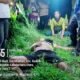 TEKS FOTO : Jasad korban, Louis David Hutabarat yang ditemukan tewas bersimbah darah di lokasi kejadian di areal perkebunan PT Agrinas Palma Nusantara 1, Desa Sukarame Baru, Kecamatan Kualu Hulu, Aek Kanopan, Kabupaten Labuhan Batu Utara.