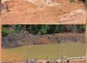 Hutan Sambau Batam Gundul, Warga Desak Polda Kepri dan BP Batam Sikat Tambang Ilegal