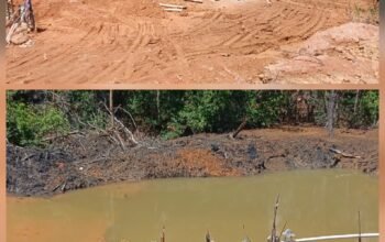 Hutan Sambau Batam Rusak Parah