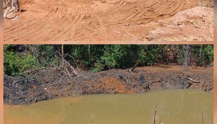 Hutan Sambau Batam Gundul, Warga Desak Polda Kepri dan BP Batam Sikat Tambang Ilegal