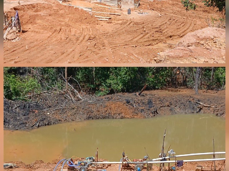 Hutan Sambau Batam Rusak Parah