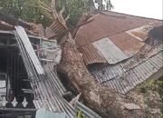 Rumah milik Ibu Yusniar di Jalan Ikhlas, Bromo Ujung No. 9, Kelurahan Binjai, Kecamatan Medan Denai.