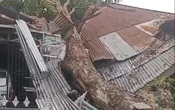 Rumah milik Ibu Yusniar di Jalan Ikhlas, Bromo Ujung No. 9, Kelurahan Binjai, Kecamatan Medan Denai.