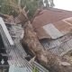 Rumah milik Ibu Yusniar di Jalan Ikhlas, Bromo Ujung No. 9, Kelurahan Binjai, Kecamatan Medan Denai.