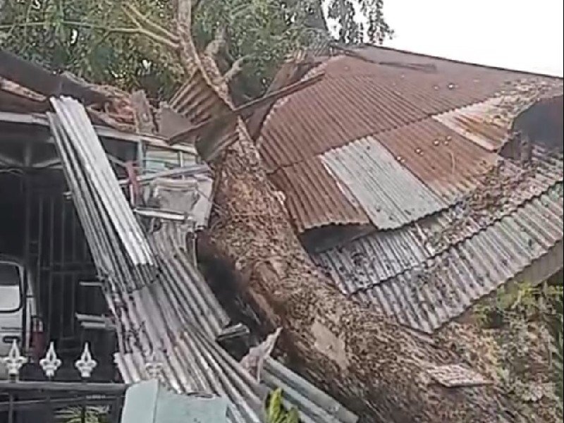 Rumah milik Ibu Yusniar di Jalan Ikhlas, Bromo Ujung No. 9, Kelurahan Binjai, Kecamatan Medan Denai.