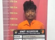 Viral Begal IRT Ditengah Jalan, Ridho Siregar Diciduk Polsek Medan Area