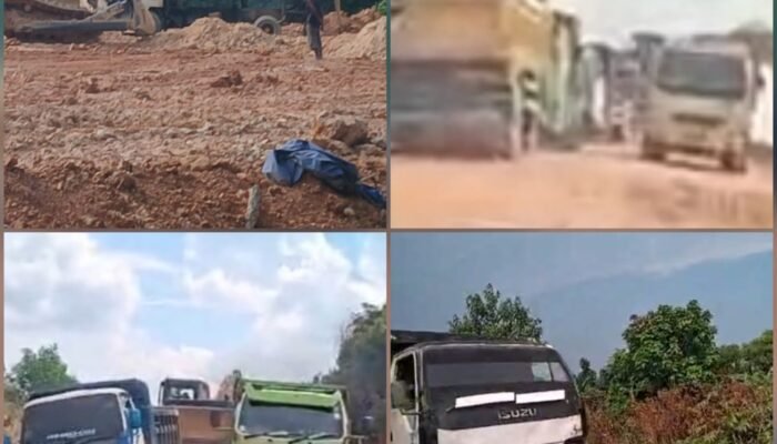Truk Tanah Urug Hilir Mudik di Sei Binti, Diduga untuk Timbun Mangrove