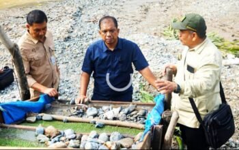 PETI di Sungai Batang Gadis dan Tindakan Gubernur