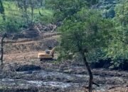 Aktivitas alat berat diduga mengeruk kawasan mangrove seluas 83 hektare di Kampung Tengah Sei Beduk Batam oleh PT Damai Indo Pertama Sukses