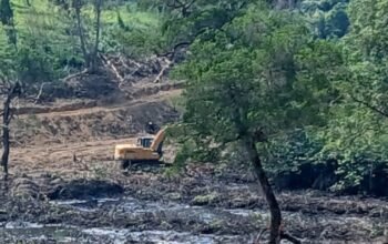 Aktivitas alat berat diduga mengeruk kawasan mangrove seluas 83 hektare di Kampung Tengah Sei Beduk Batam oleh PT Damai Indo Pertama Sukses