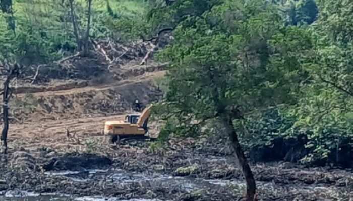 Diduga Rusak Mangrove dan Pakai TKA Ilegal, Proyek PT Damai Indo Pertama Sukses di Sei Beduk Disorot