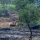 Aktivitas alat berat diduga mengeruk kawasan mangrove seluas 83 hektare di Kampung Tengah Sei Beduk Batam oleh PT Damai Indo Pertama Sukses
