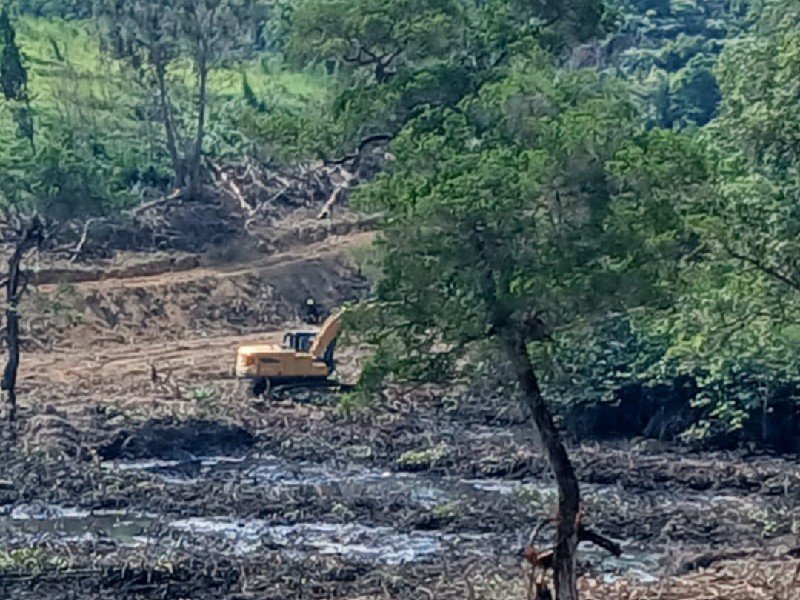 Aktivitas alat berat diduga mengeruk kawasan mangrove seluas 83 hektare di Kampung Tengah Sei Beduk Batam oleh PT Damai Indo Pertama Sukses