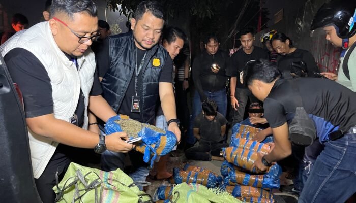 Kejar-kejaran di Jalan AH Nasution, Polisi Sita 93 Kg Ganja dan Tangkap 2 Pelaku