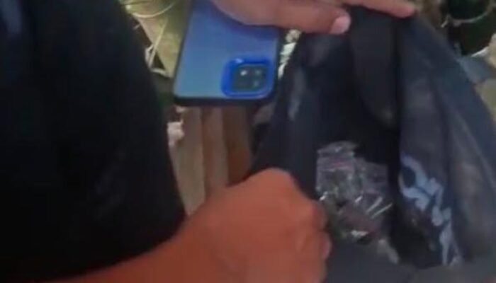 Satresnarkoba Polrestabes Medan Bongkar Modus Baru Peredaran Ganja di Pohon Bambu