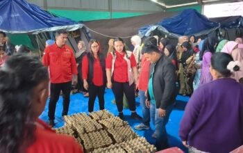 Bantu Pengungsi Sinabung, PDI Perjuangan Turun Langsung ke Posko