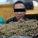 Polisi menangkap oknum Satpam yang diduga mengedarkan narkotika jenis ganja di kawasan Tanjung Sari, Medan.