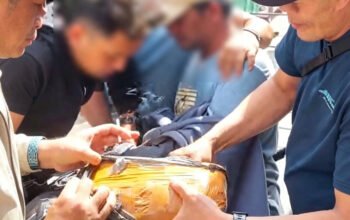Kakek Jual Ganja di Medan, 880 Gram Disita Polisi