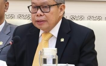 Taufan Pawe mendorong optimalisasi Ombudsman di 38 provinsi