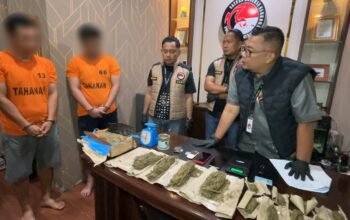 Polisi Gerebek Kos di Medan Jadi Gudang Ganja, Sabu dan PG